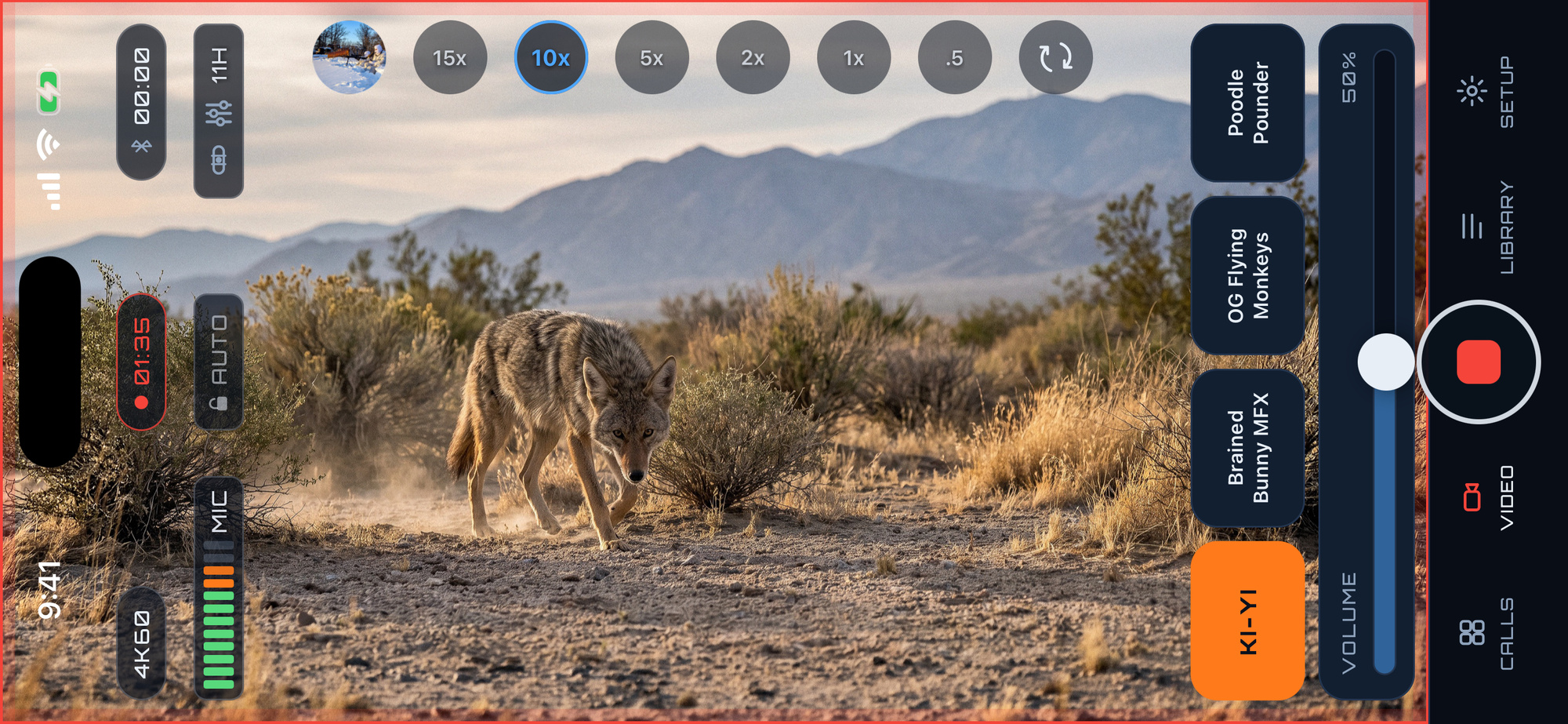 Pro Video filming a coyote at 10x zoom while PREYR plays a call